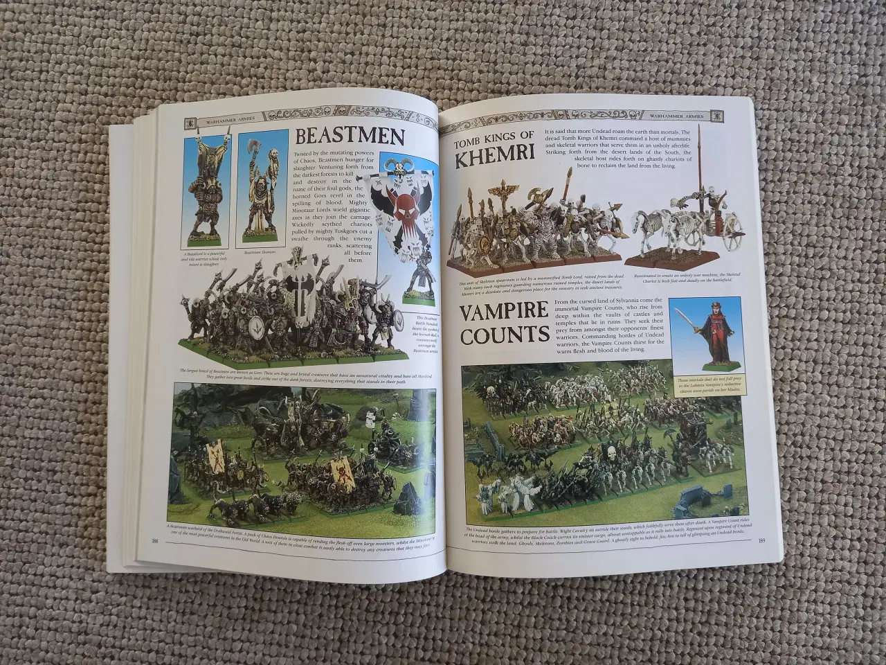 Billede 3 - Warhammer The Game Of Fantasy Battles