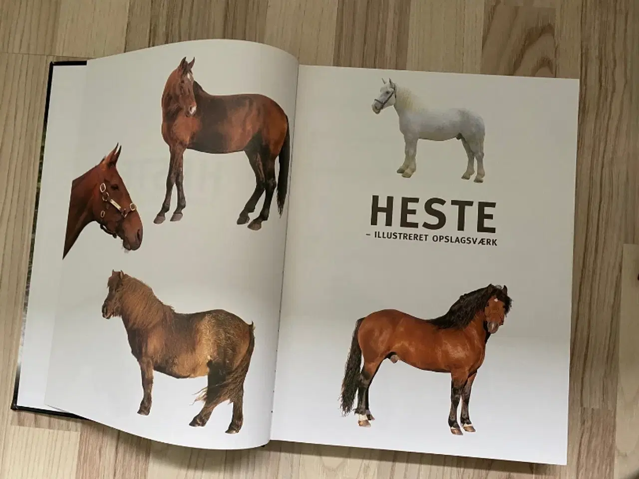 Billede 4 - Hestebøger