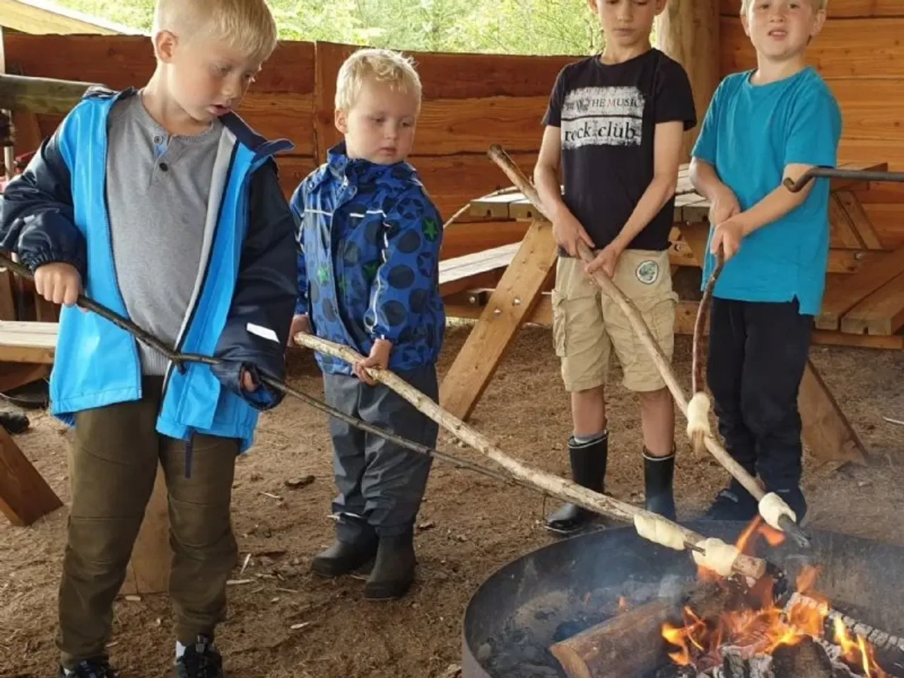 Billede 5 - Riskj�r skov - en stor, moderne �deg�rd med ALT, hvad I beh�ver til det perfekte Familietr�f eller Generationsferie.