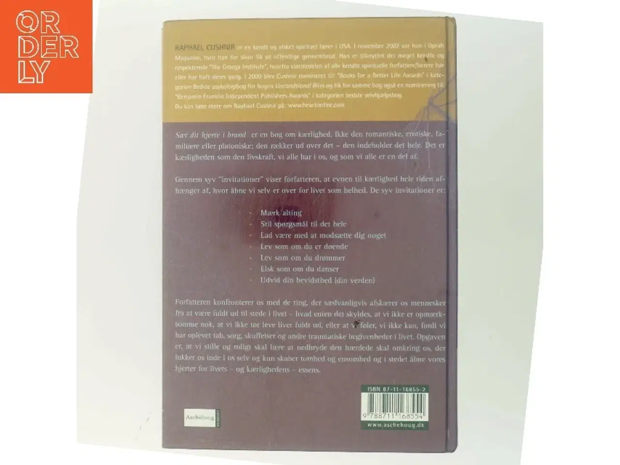 Billede 3 - Sæt dit hjerte i brand : syv skridt til et liv i frihed af Raphael Cushnir (Bog)