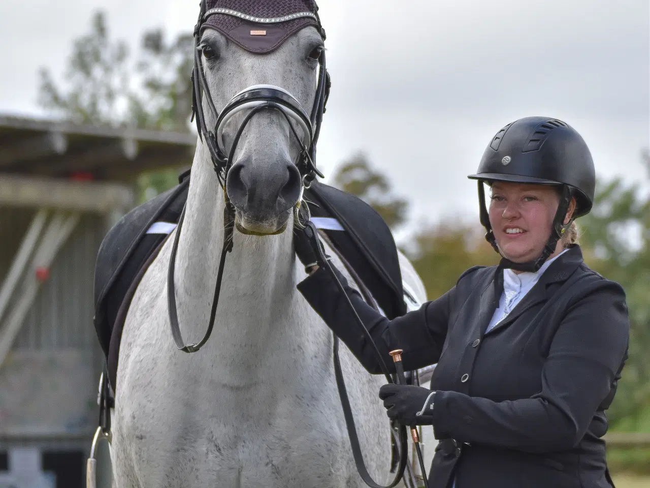 Billede 1 - Udlån/træningshest søges!