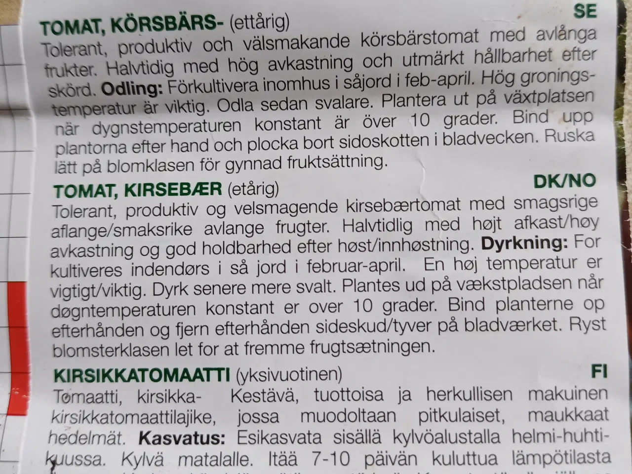 Billede 14 - Tomatplanter mange forskellige