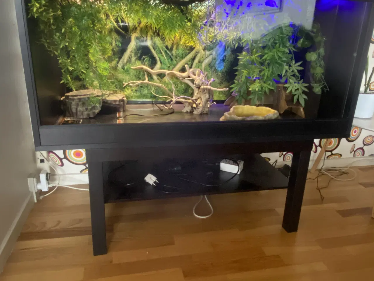 Billede 1 - Plug & play terrarie