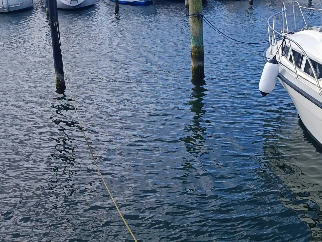 Billede 2 - Bådplads Assens Marina