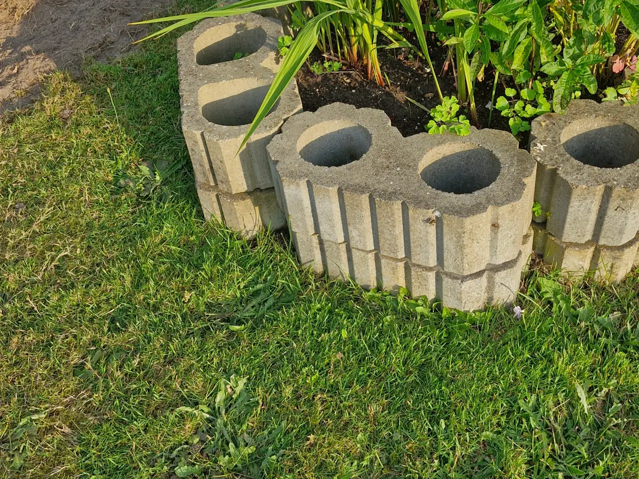 Billede 1 - Plantesten, 50 cm i længde.