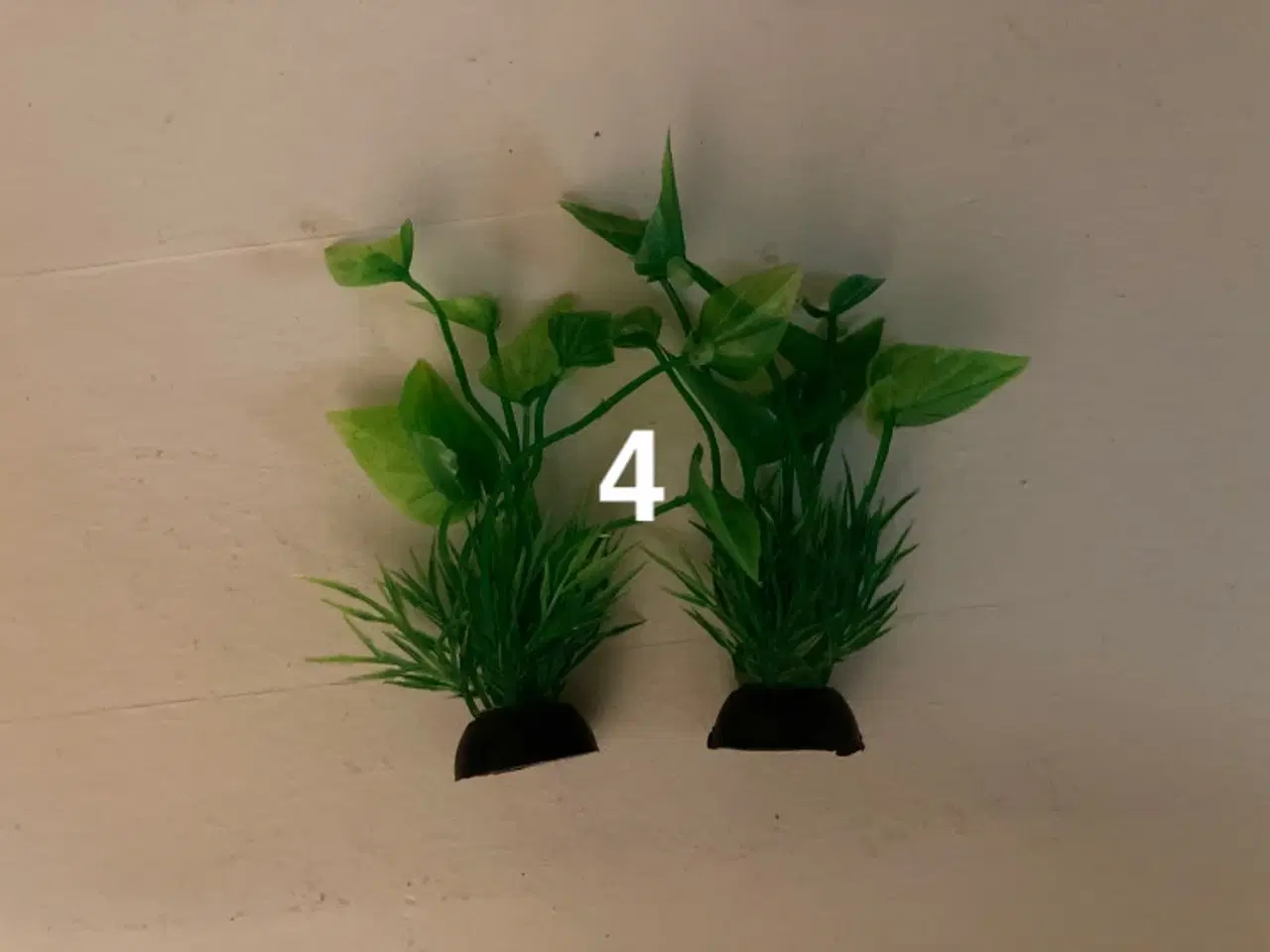 Billede 5 - Plastiskplanter