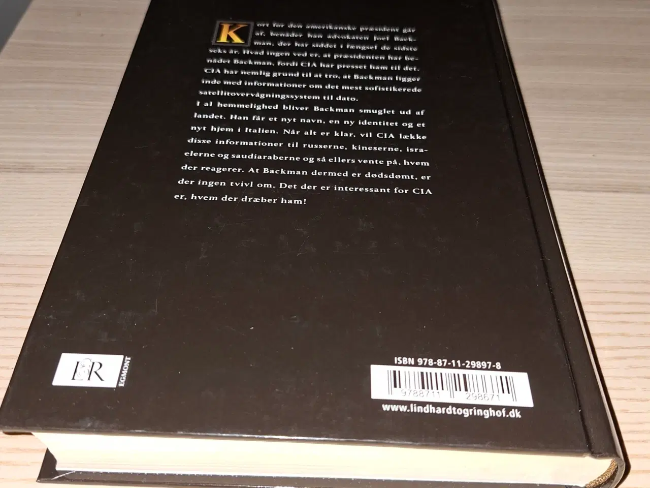 Billede 13 - Karen Fastrup, Udfordringen