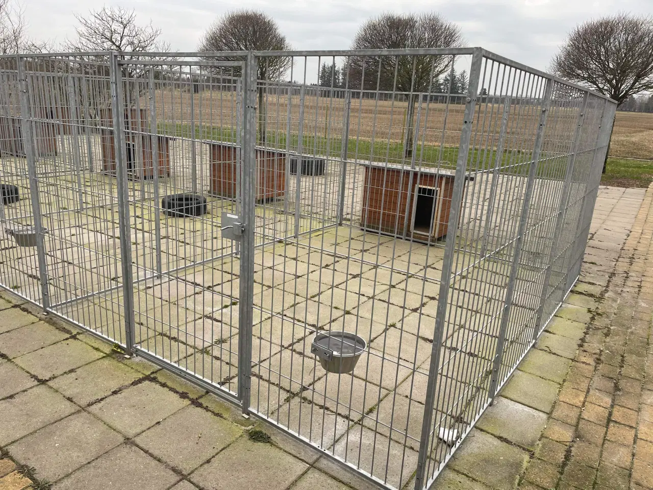 Billede 1 - Hong Kong Hundegård