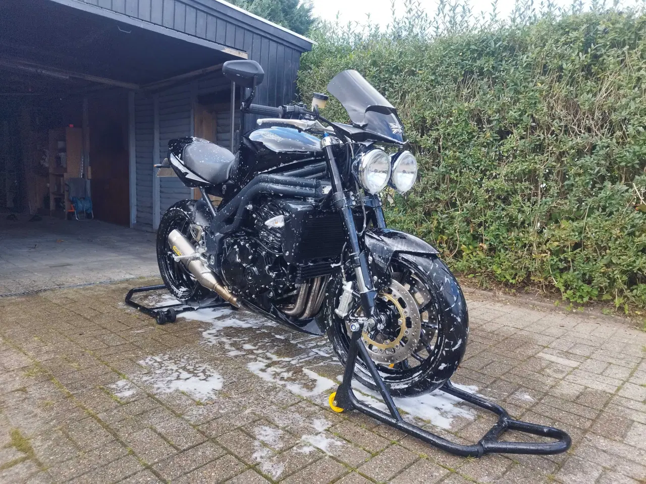 Billede 5 - Triumph Speed triple 1050