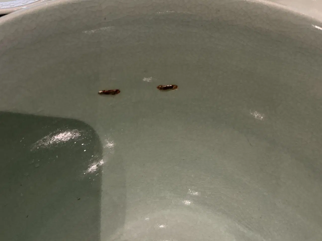 Billede 9 - Aluminia spisestel