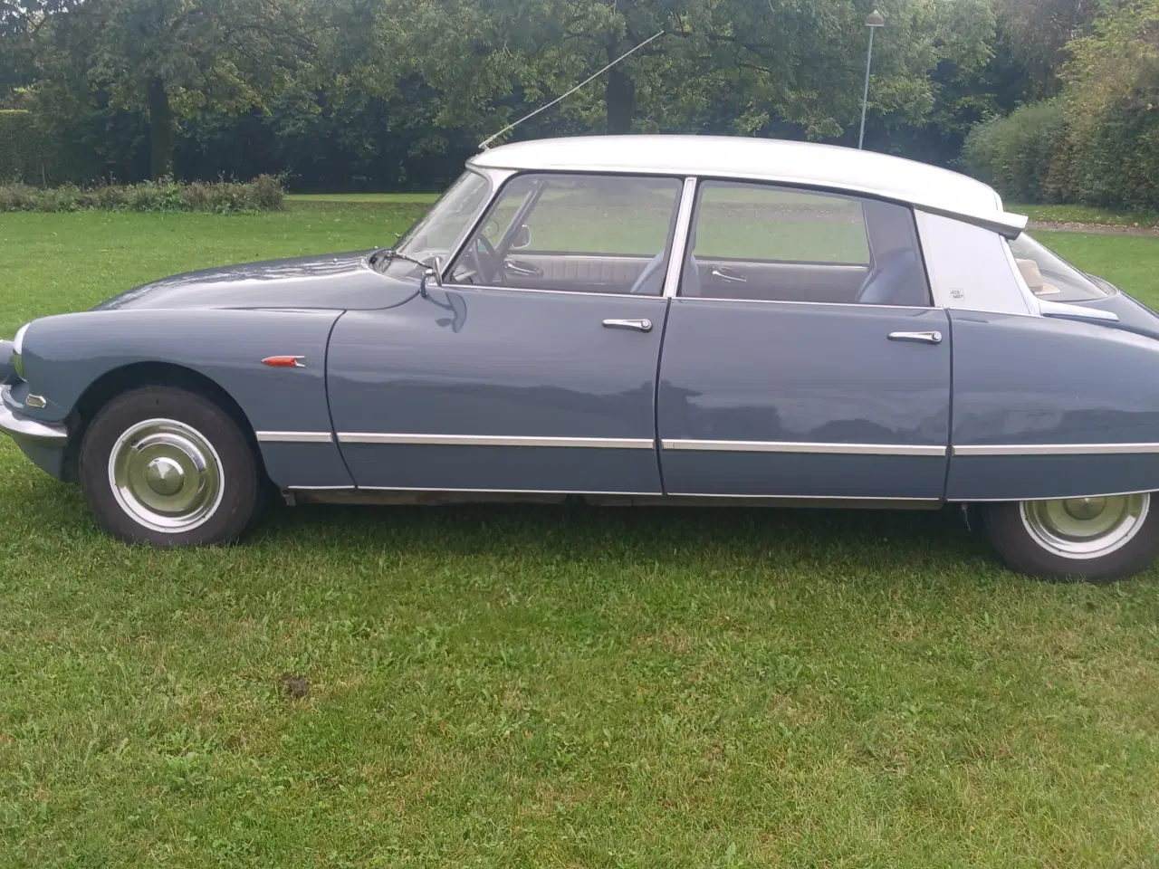 Billede 5 - Citroen DS 21 Pallas 1966