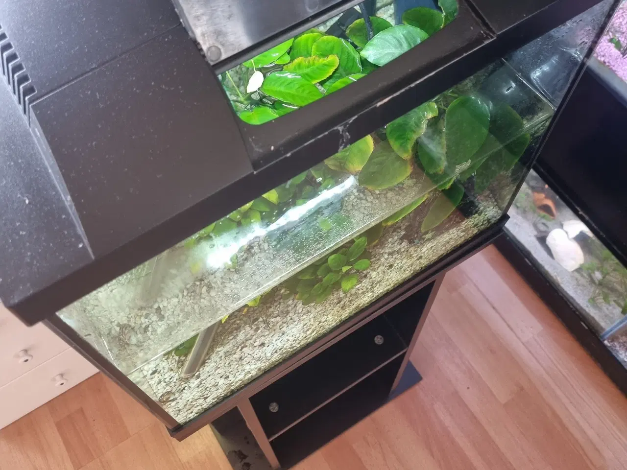 Billede 2 - Akvarium