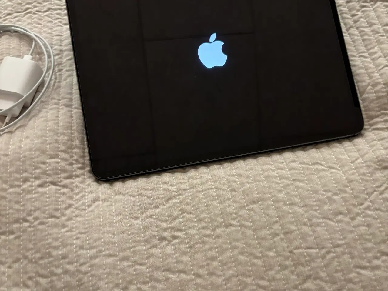 Billede 2 - Velholdt iPad Pro 5.gen 256gb