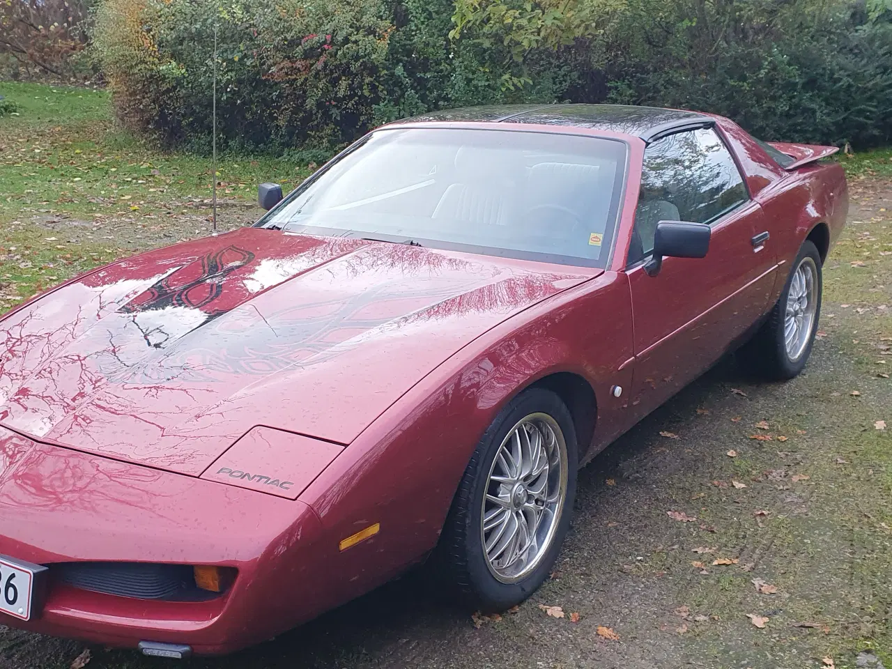 Billede 4 - Pontiac Trans Am Firebird