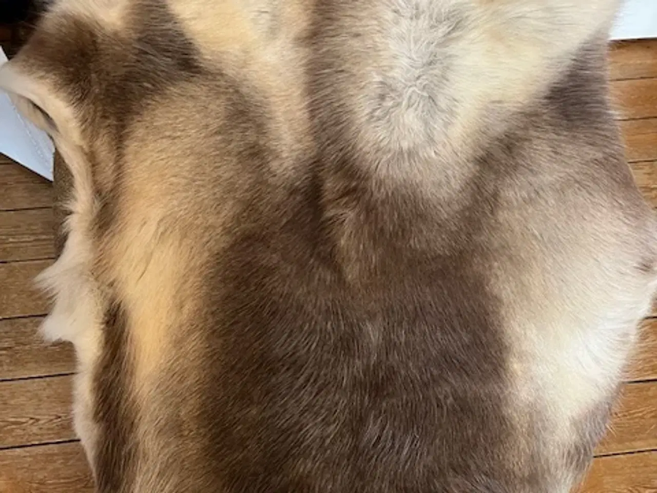 Billede 7 - Smukt og naturligt rensdyrskind – 110 x 110 cm