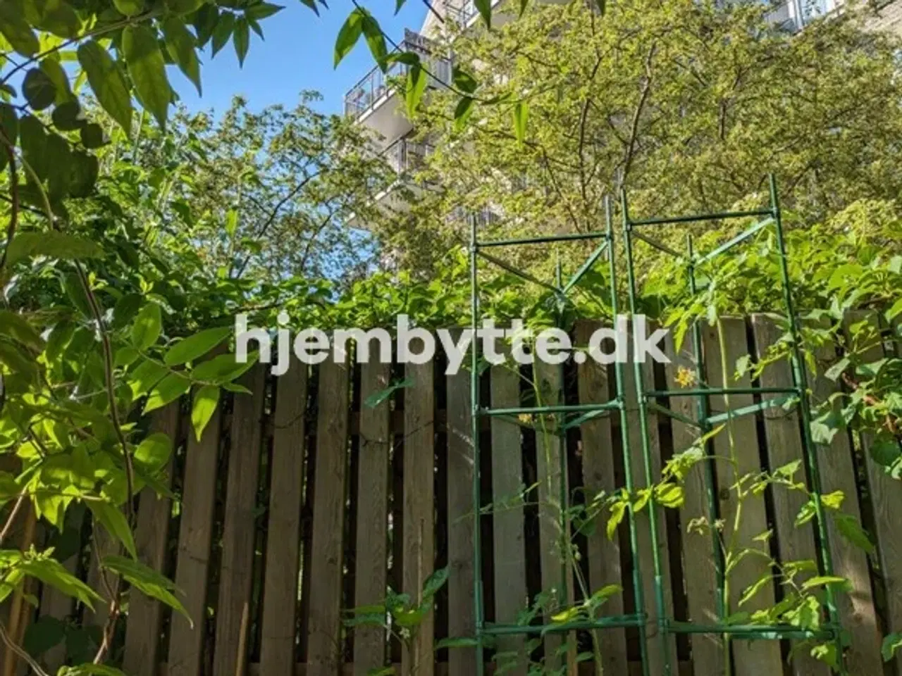 Billede 4 - Hjembytte - Stengade