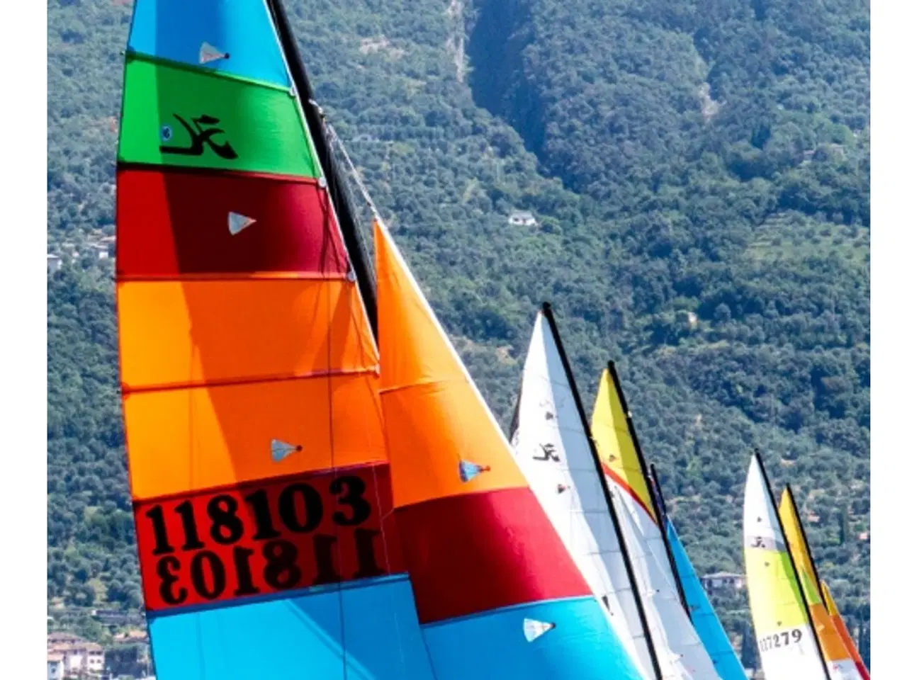 Billede 7 - Hobie 16, 2022 Worlds boat #49