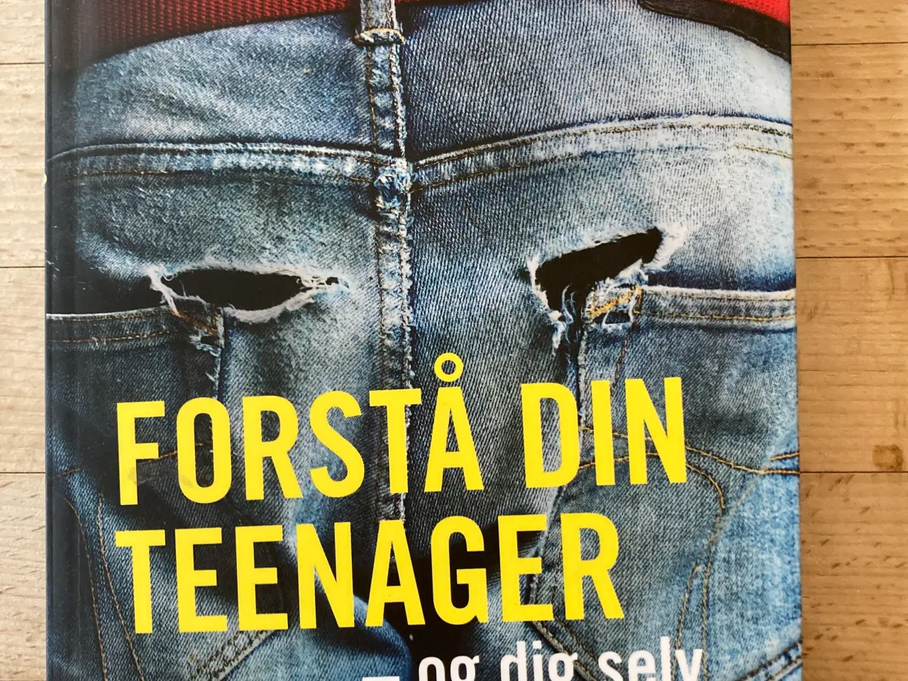 Billede 1 - Forstå din teenager, Gitte Haag