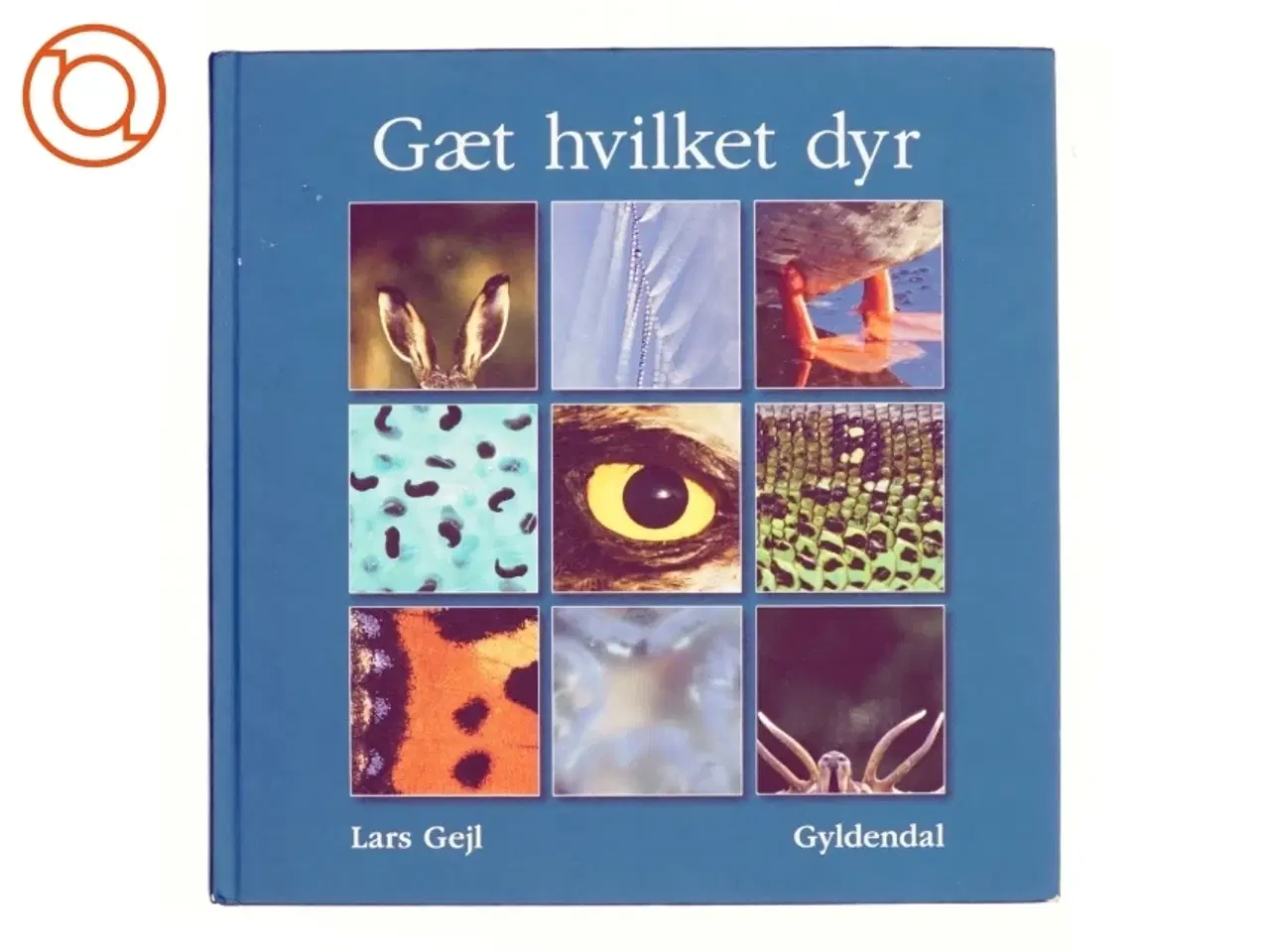 Billede 1 - Gæt hvilket dyr af Lars Gejl (Bog)