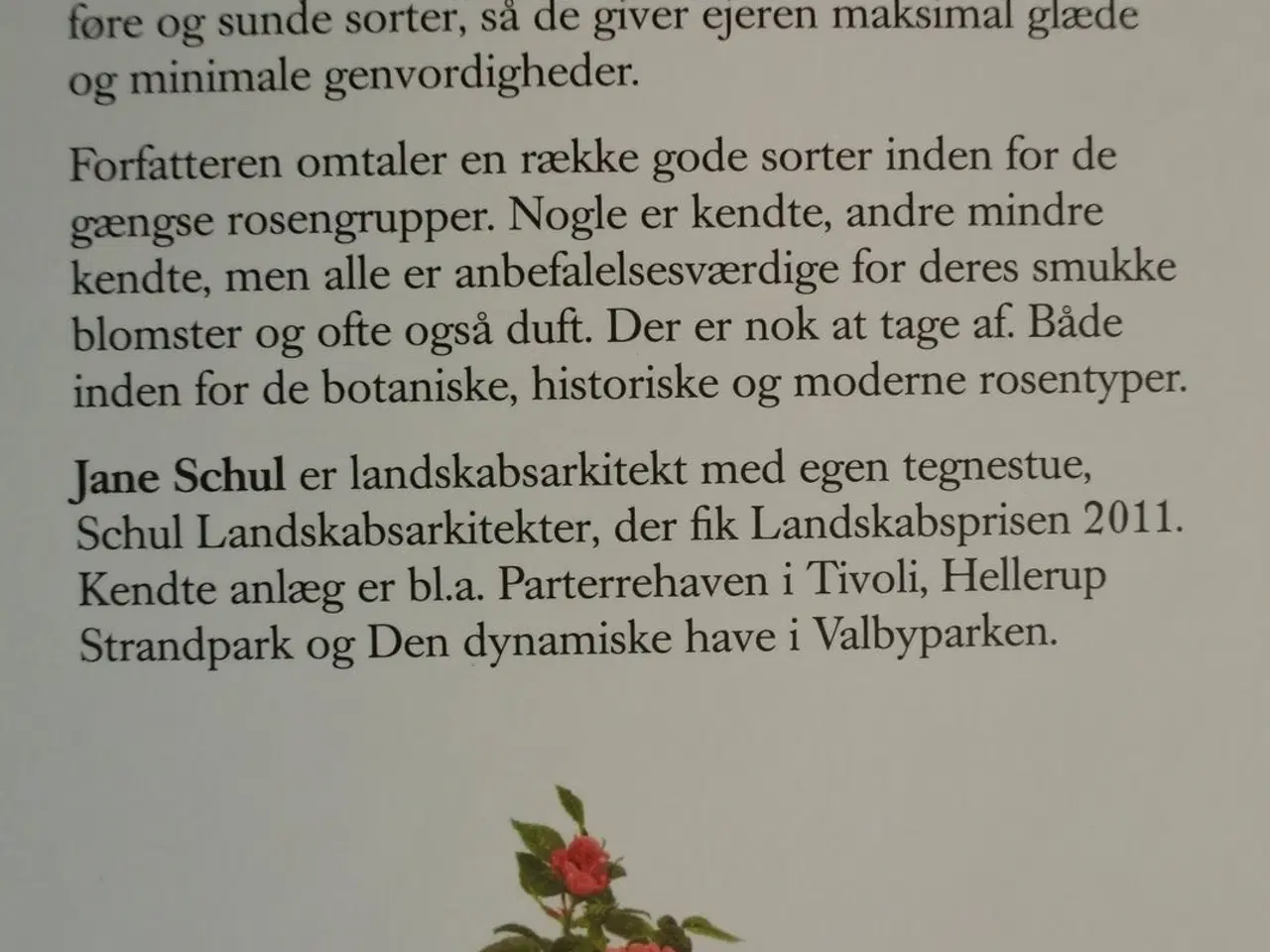 Billede 3 - roser - hårdføre skønheder, af jane schul, emne: b
