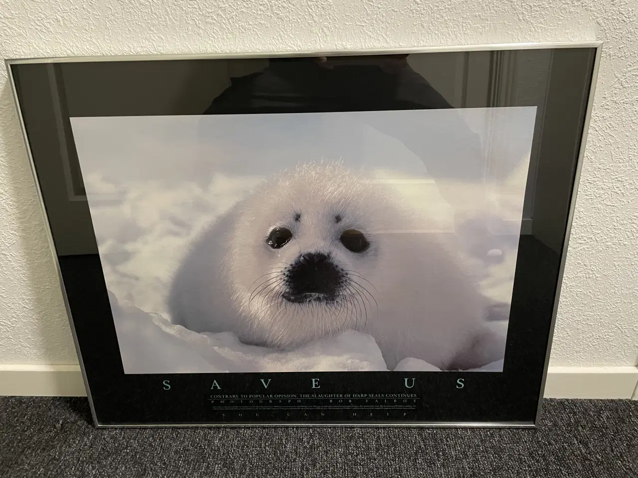 Billede 3 - Flot sælunge i alu-glasramme