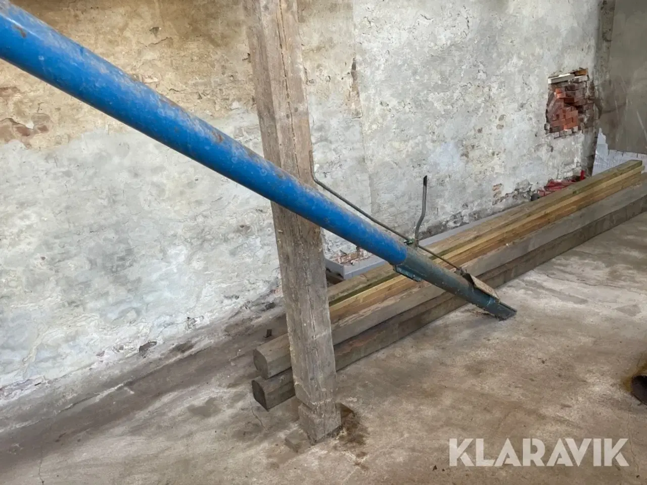 Billede 11 - Kornsnegl