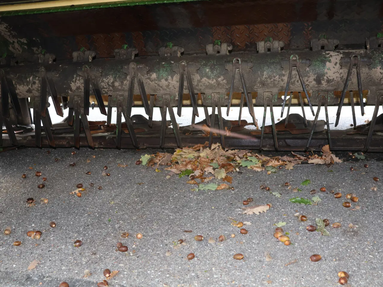 Billede 16 -  Krone Easycut 3210CV bugseret skivehøster