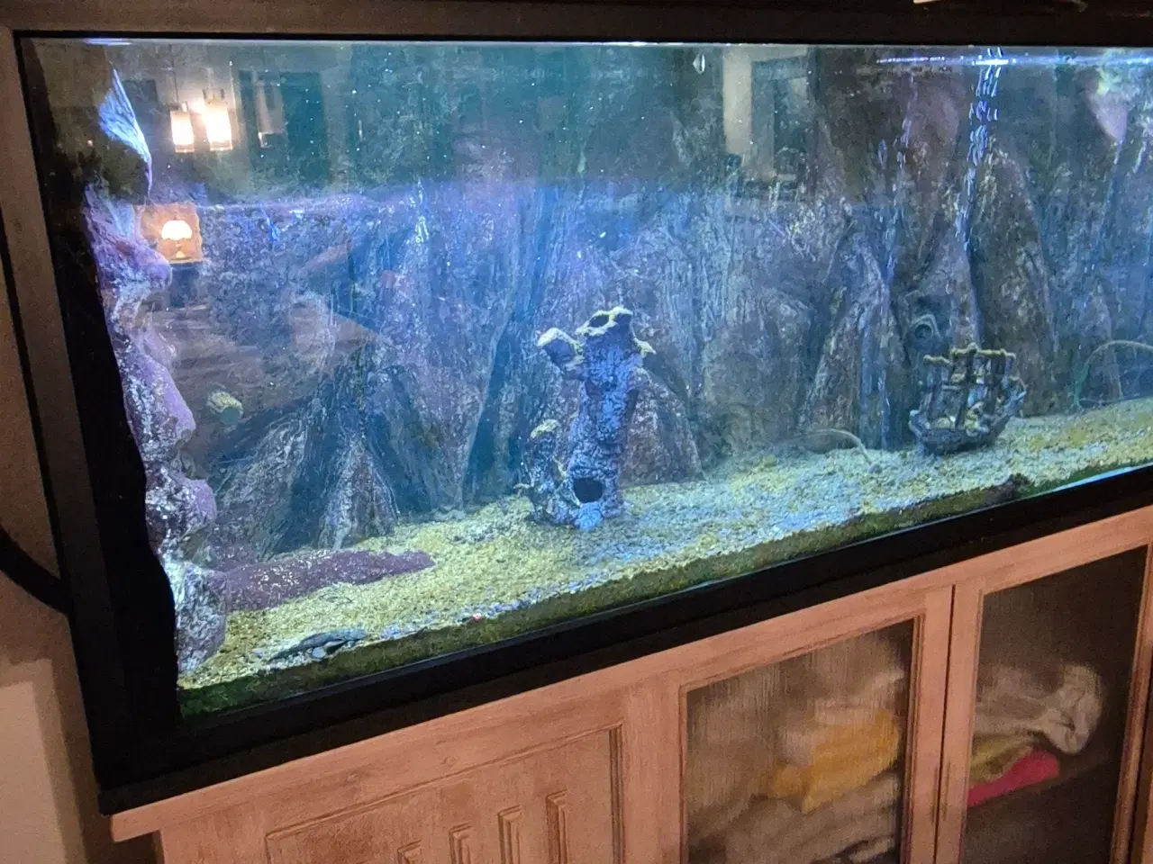 Billede 9 - 660L akvarie med 3D baggrund