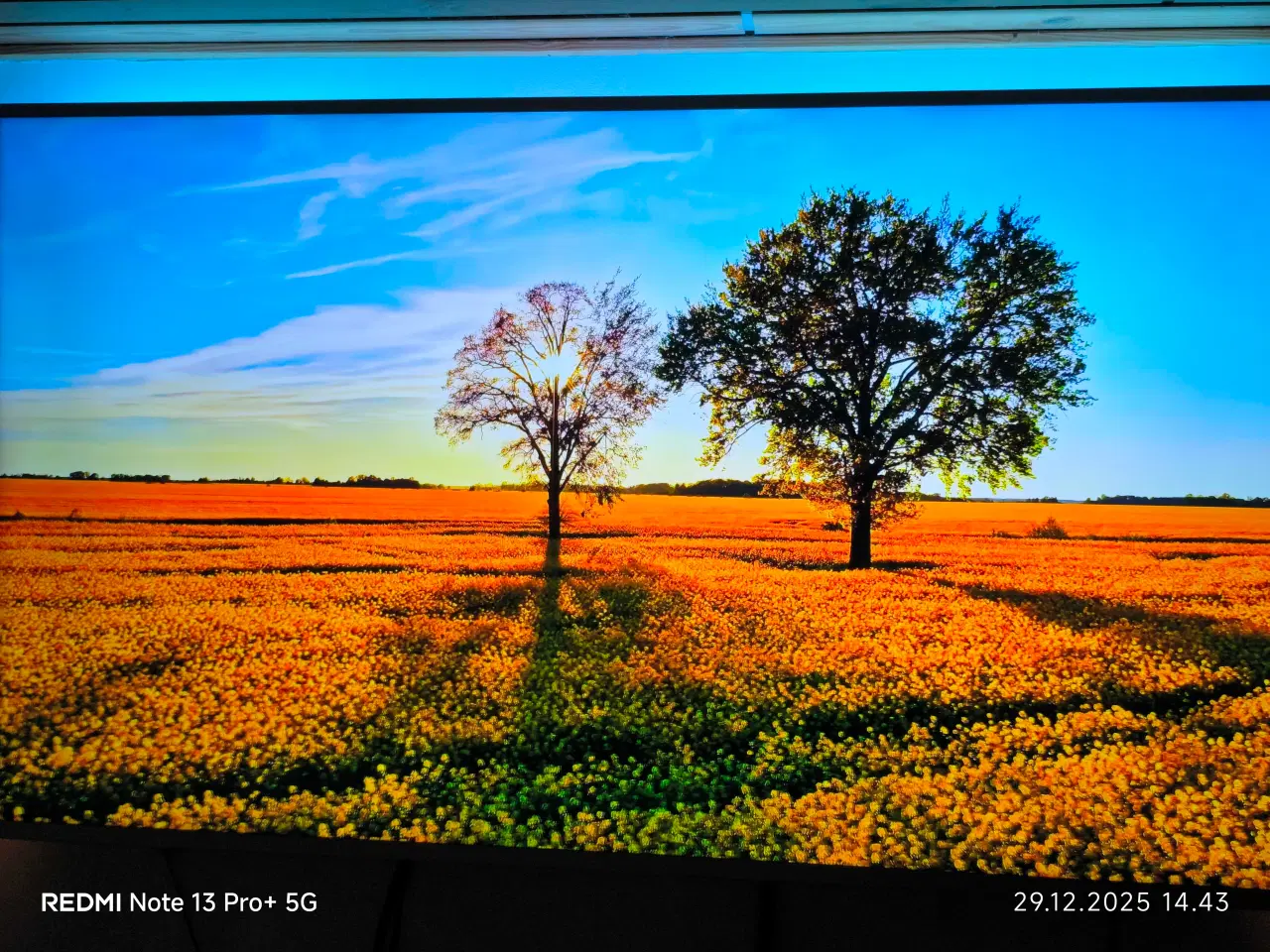 Billede 6 - Fantastisk Philips "THE ONE" Performance Serie TV