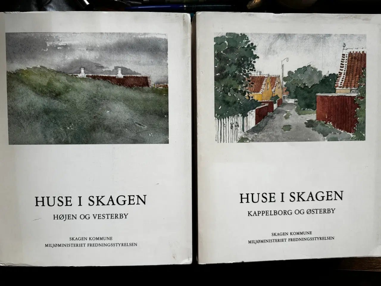 Billede 1 - HUSE I SKAGEN I & II