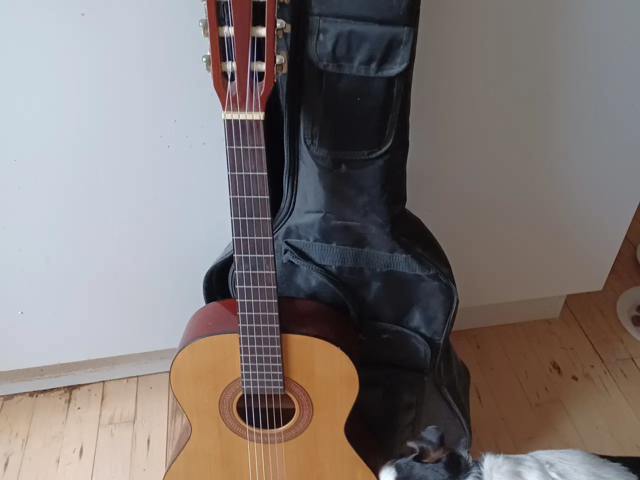 Billede 1 - Pæn guitar  med etui til salg