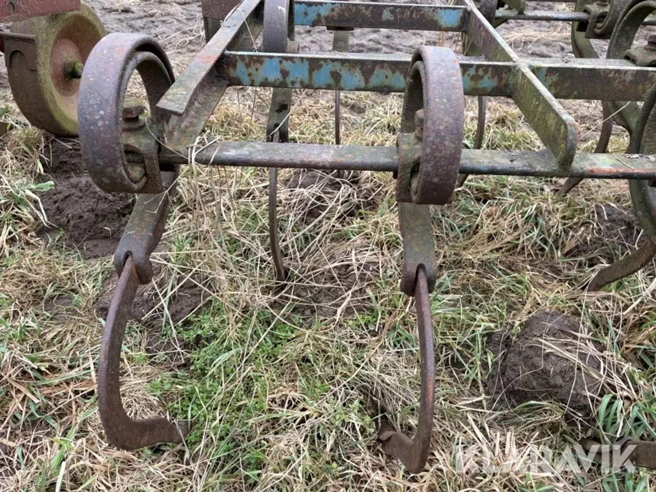 Billede 9 - Markharve / ringharve