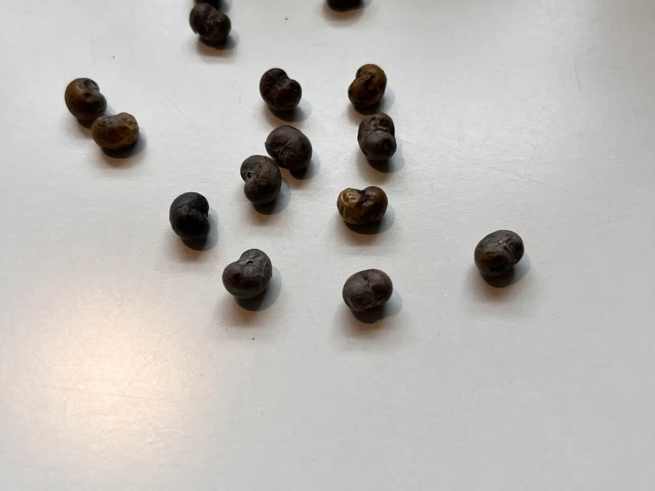 Billede 1 - Palmer Dansk produceret