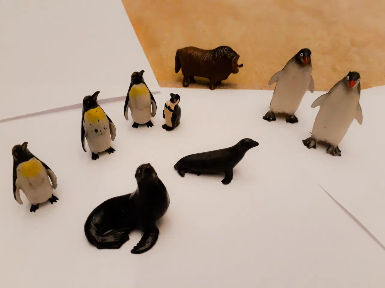 Billede 4 - Pingviner, Søløver, Isbjørne m.m.