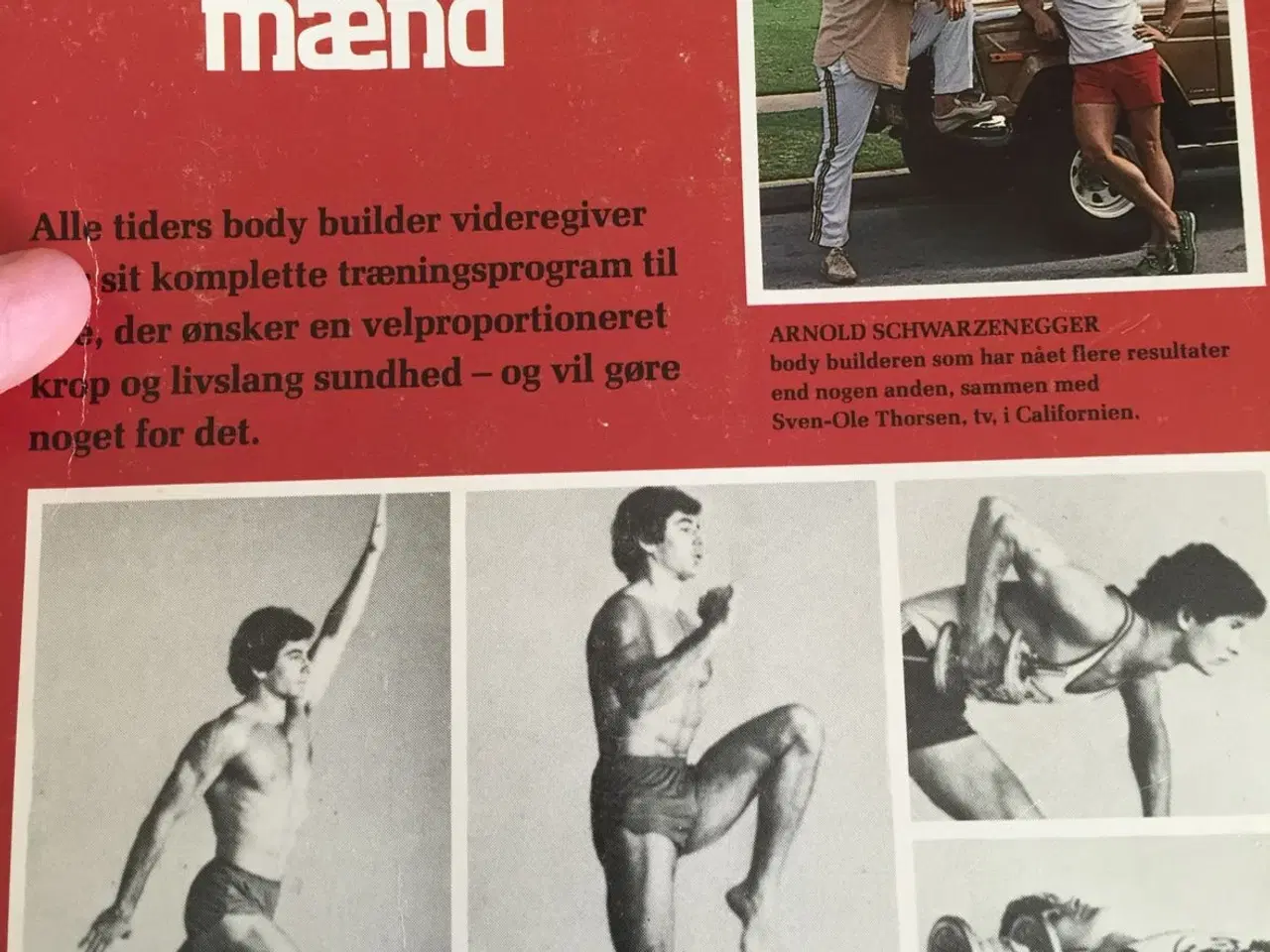 Billede 2 - Bodybuilding for mænd af Arnold Schwarz.