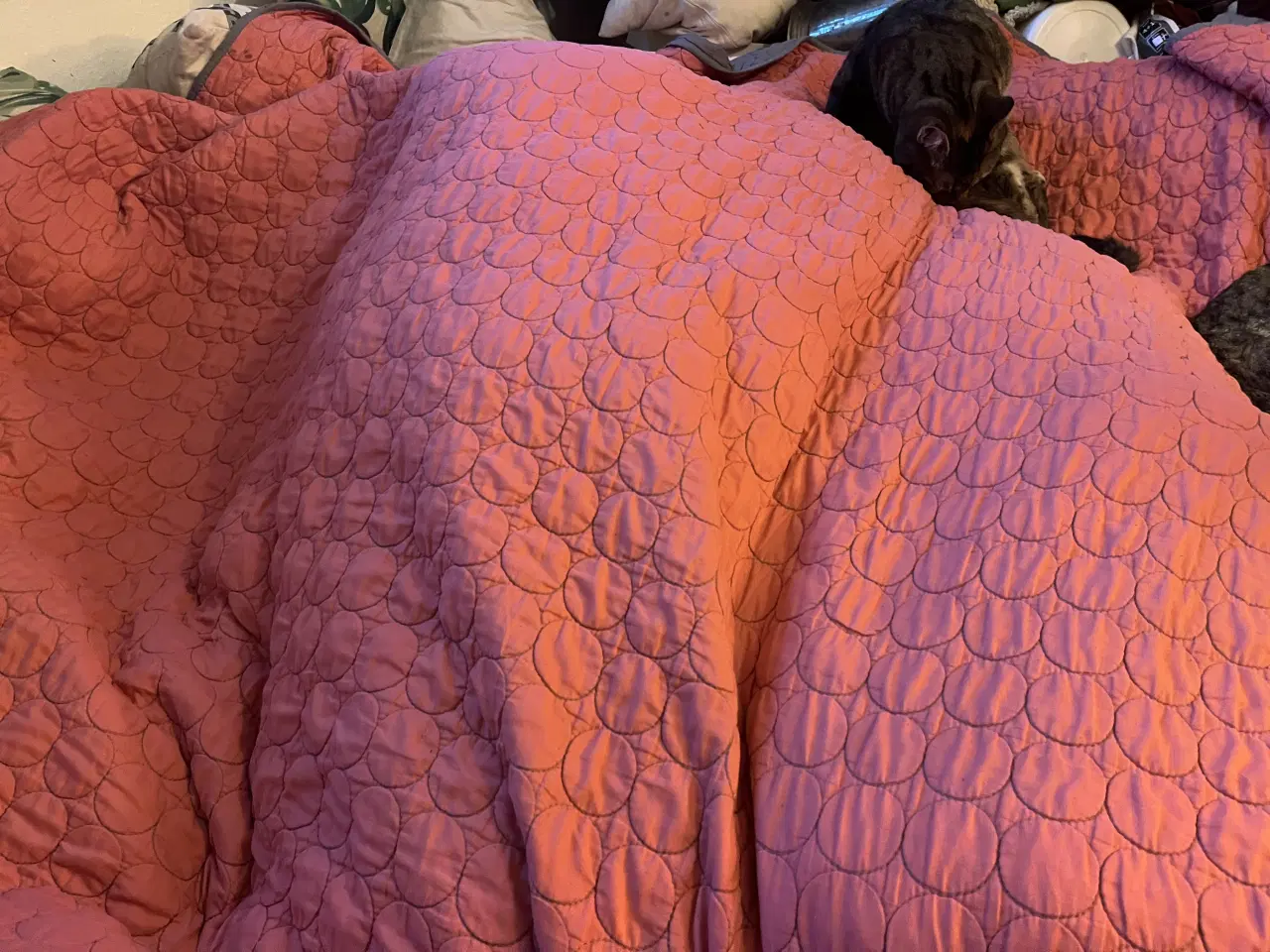 Billede 4 - HAY sengetæppe