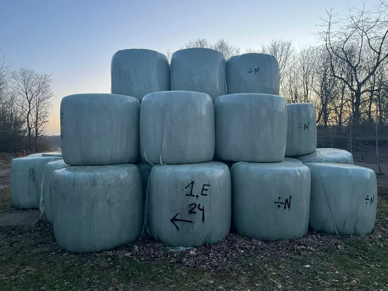 Billede 1 - Wrap 1. slæt 2025