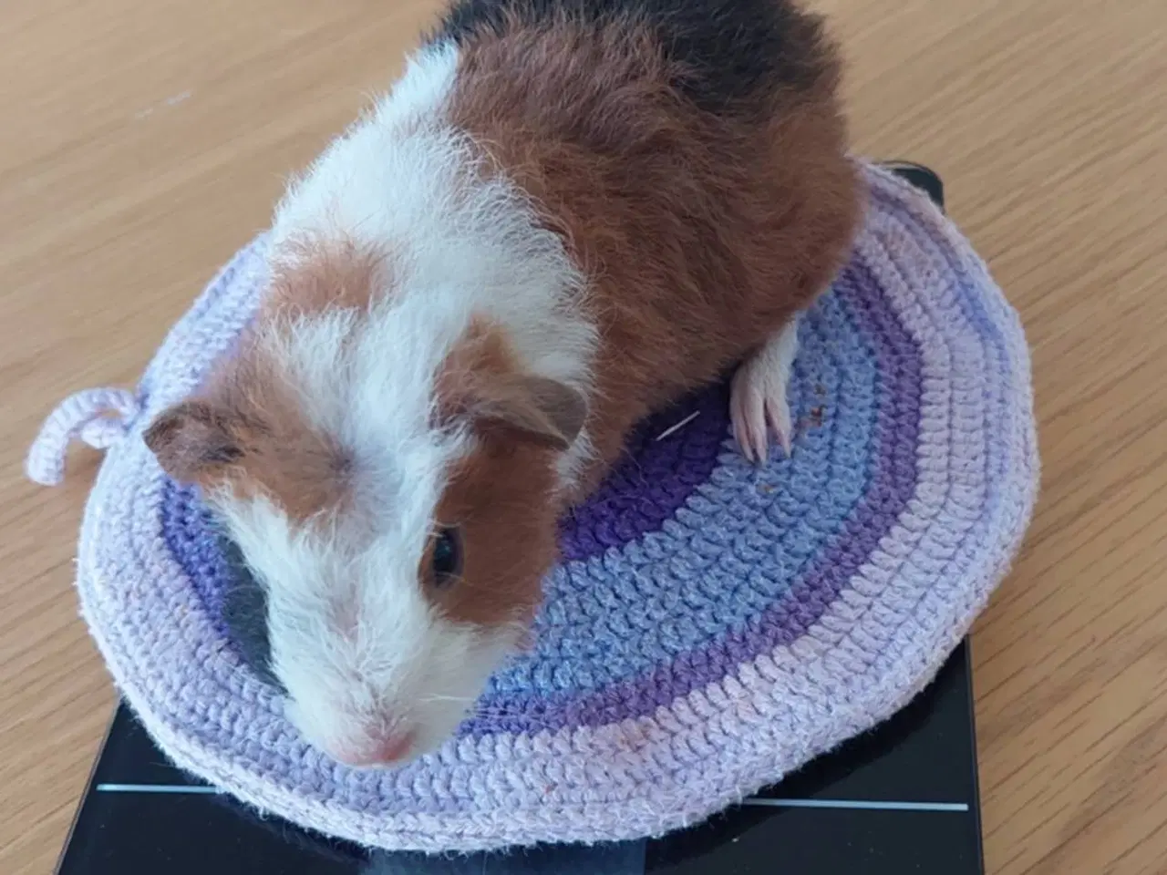 Billede 7 - 3 søde unger