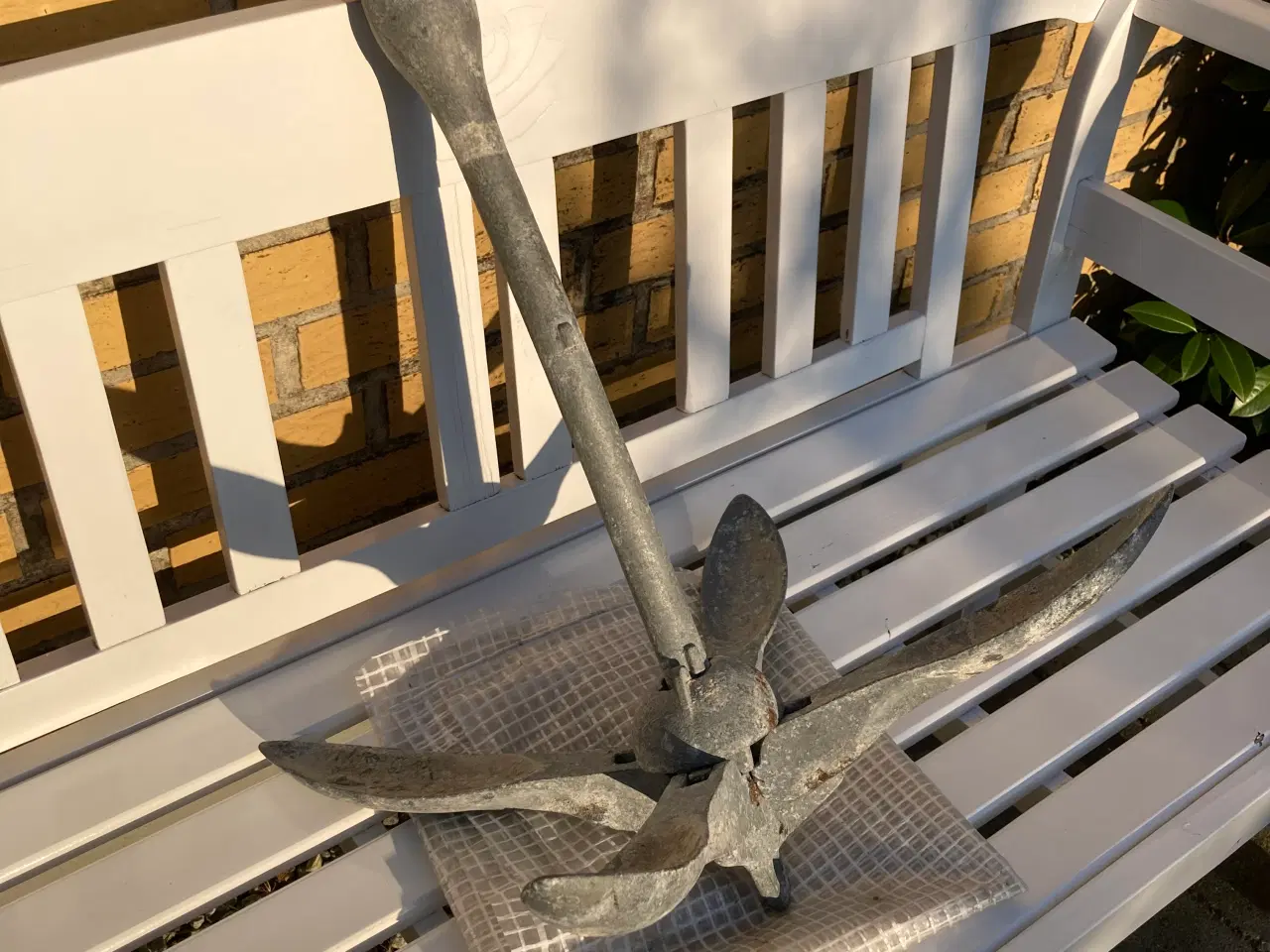 Billede 1 - Paraplyanker