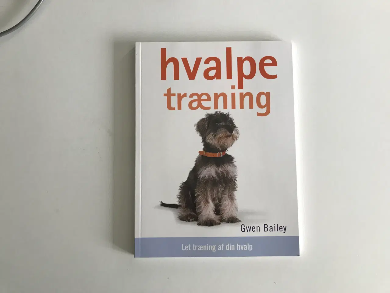 Billede 1 - hvalpe træning  af Gwen Bailey