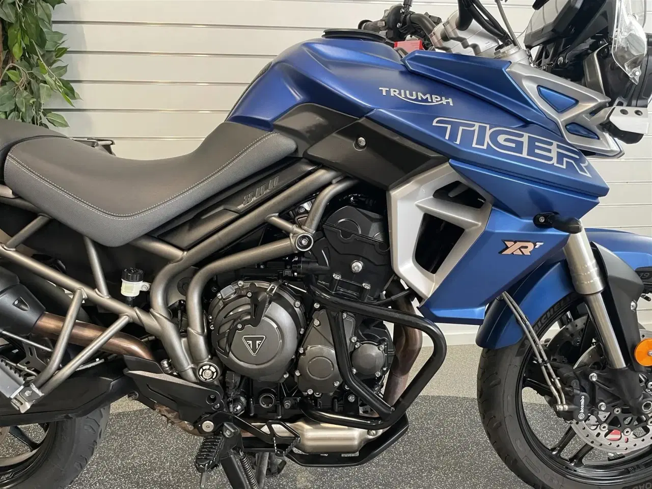 Billede 5 - Triumph Tiger 800 XRt