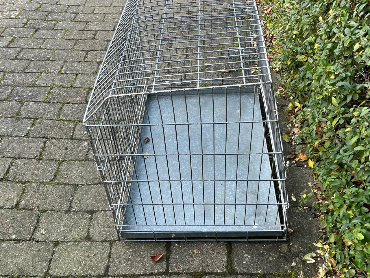 Billede 3 - Hundebur 