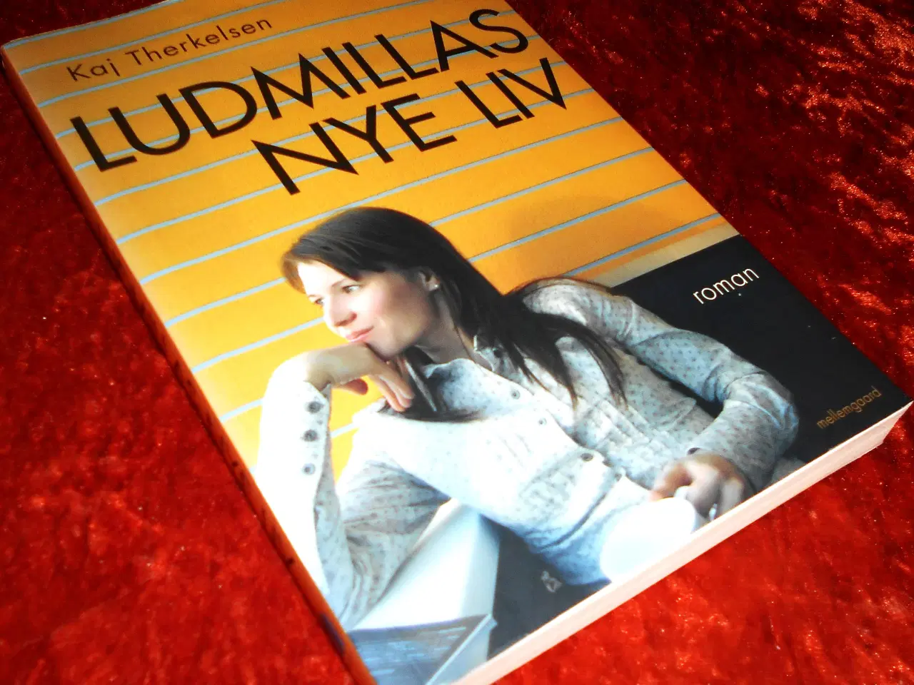Billede 1 - Ludmillas nye liv, Kaj Therkelsen,
