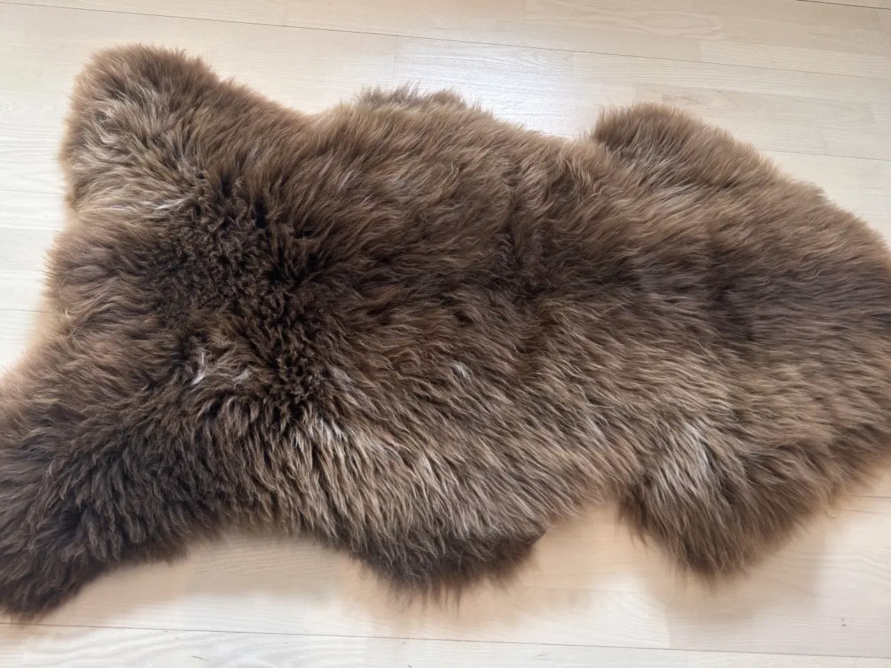 Billede 5 - Helt nyt dansk lammeskind
