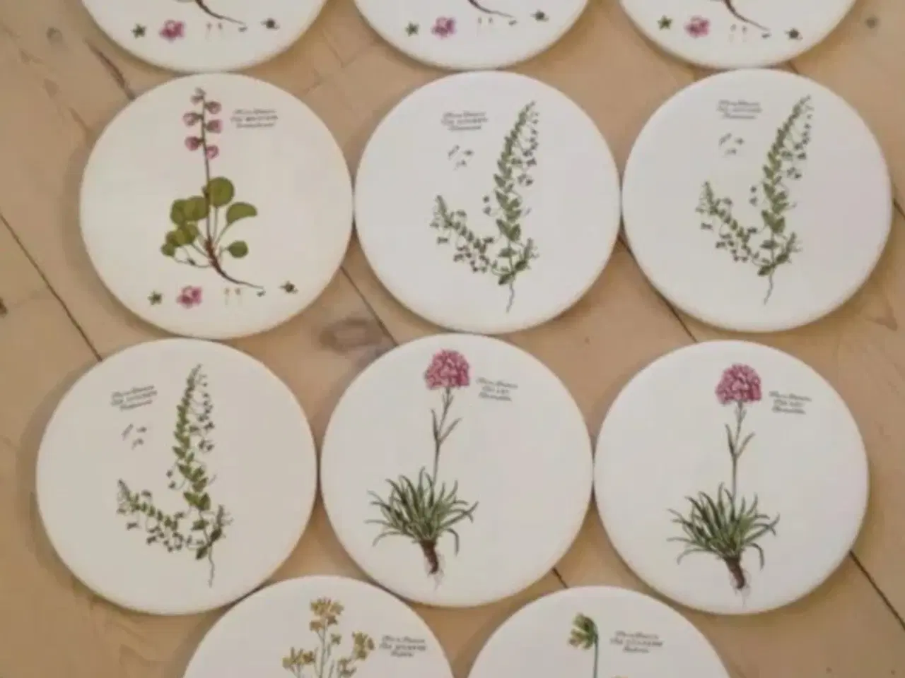 Billede 2 - Flora Danica Platter