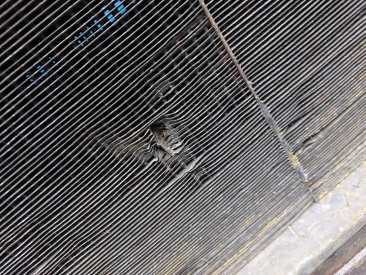 Billede 3 - Hanomag 44C Køler 3072499M91 Stel 377610179