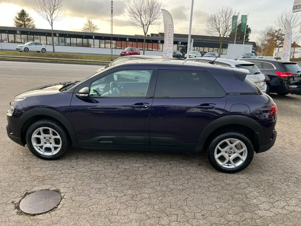 Billede 5 - Citroën C4 Cactus 1,2 PureTech 110 SkyLine