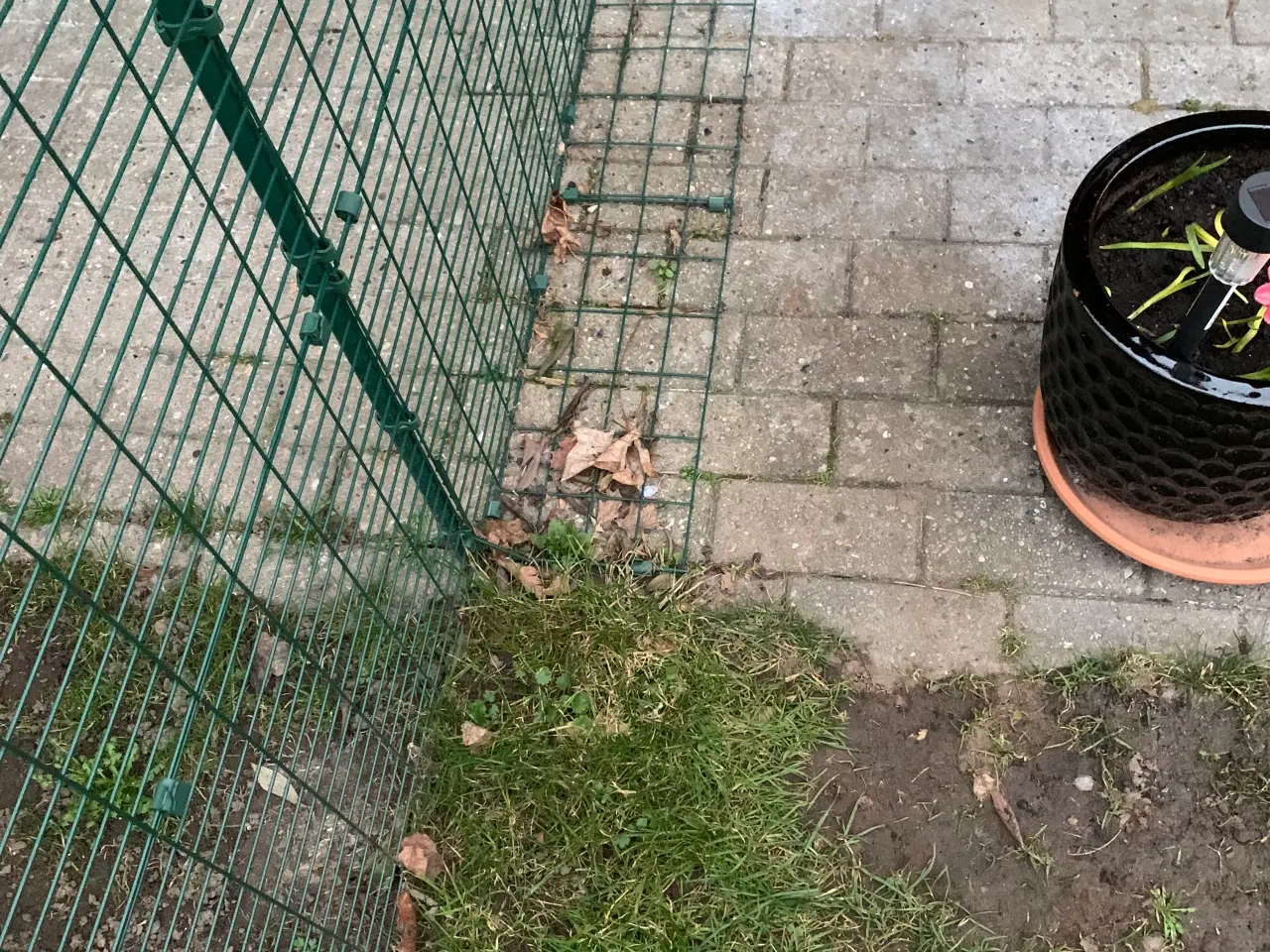 Billede 6 - Kattebur voliere pressening 3 hylder pløkker Omlet