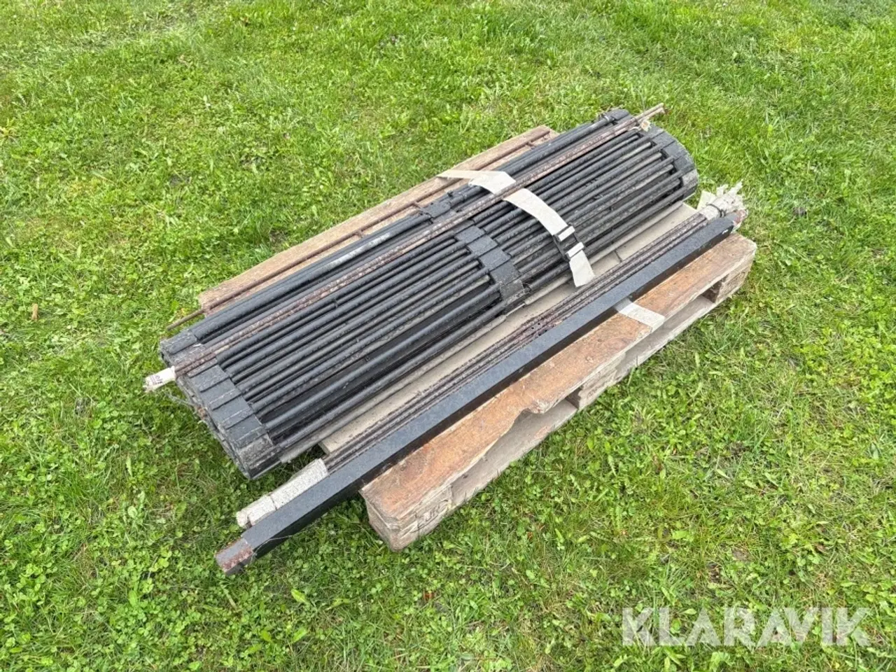 Billede 3 - Løg frilægger ASA-Lift