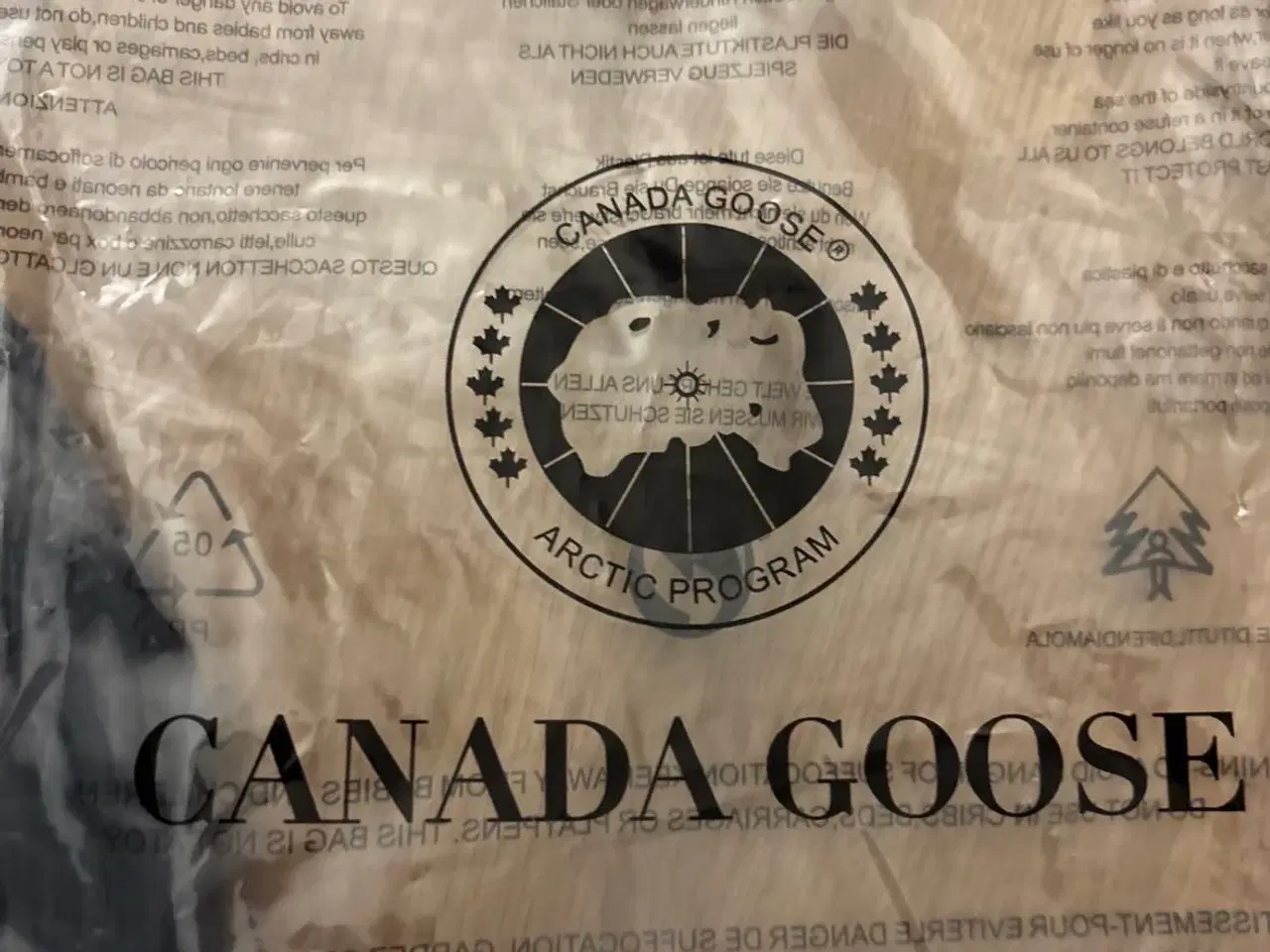 Billede 4 - Canada goose hue